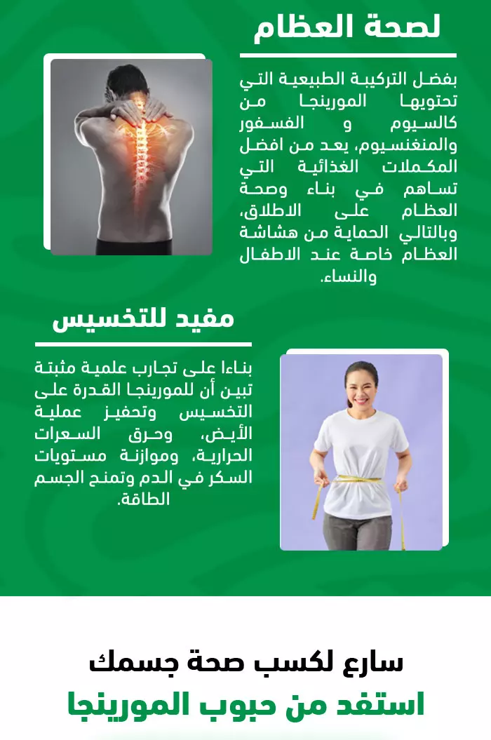 Moringa Lunch Supplement كبسولات المورينجا – قوة الطبيعة بين يديك – Image 2