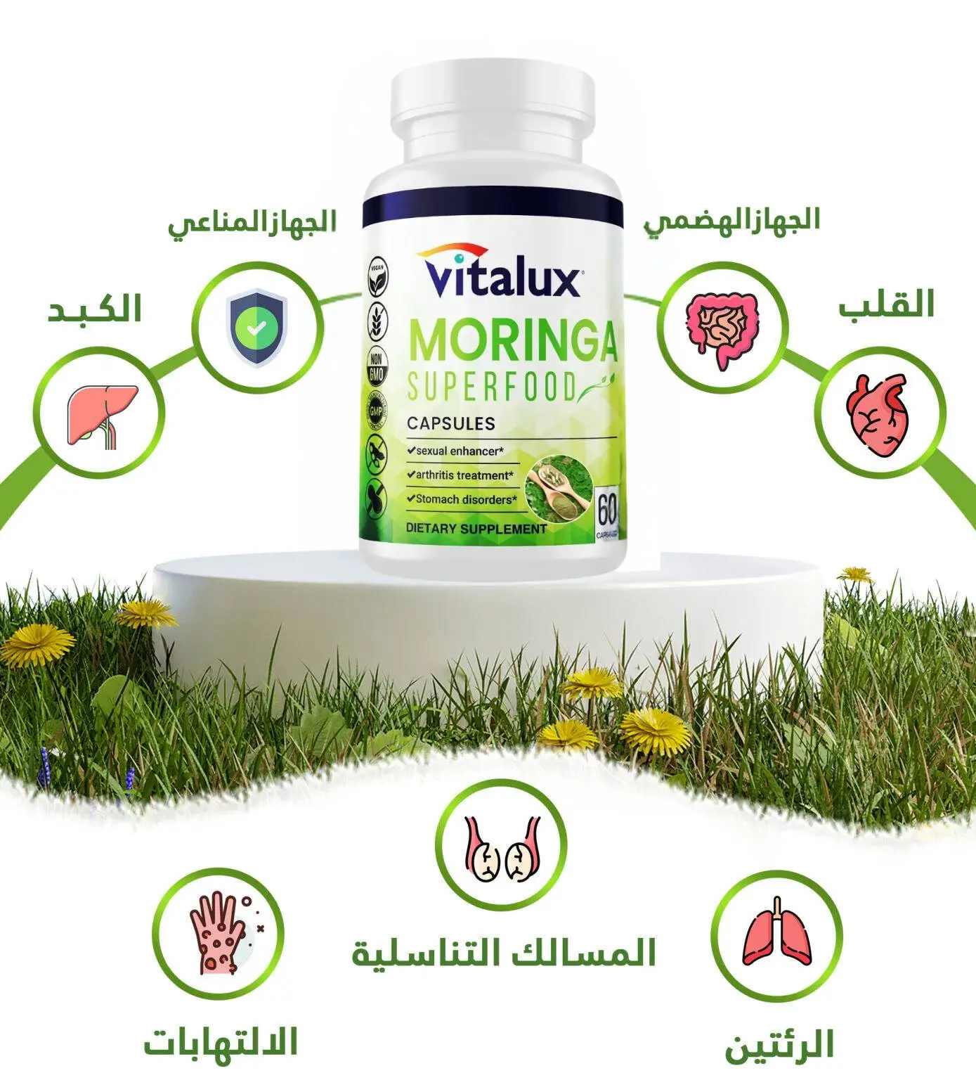 Moringa Lunch Supplement كبسولات المورينجا – قوة الطبيعة بين يديك – Image 6